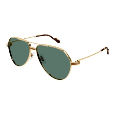 Cartier CT0334S 002