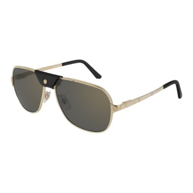 Cartier CT0165S 007