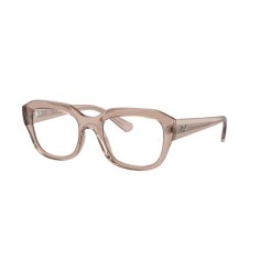 Ray-Ban LEONID RX7225 8317