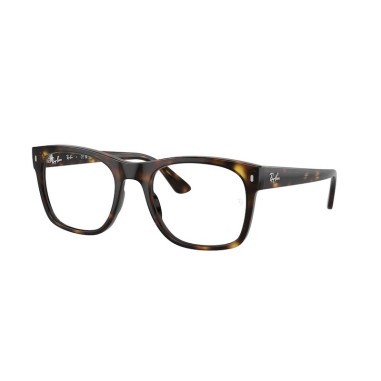 Ray-Ban RX7228 2012