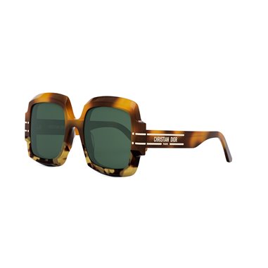 Dior DIORSIGNATURE S1U CD40049U 53N (24C0)