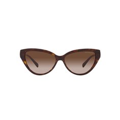 Emporio Armani EA4192 502613 2