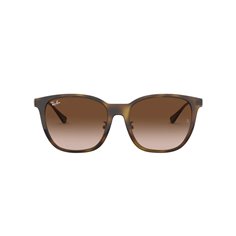 Ray-Ban RB4333D 710/13 2