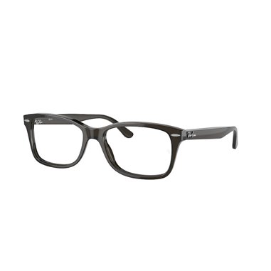 Ray-Ban RX5428 8299
