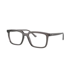 Ray-Ban ALAIN RX7239 8257