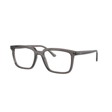 Ray-Ban ALAIN RX7239 8257