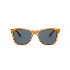 Giorgio Armani AR8133 584980 2