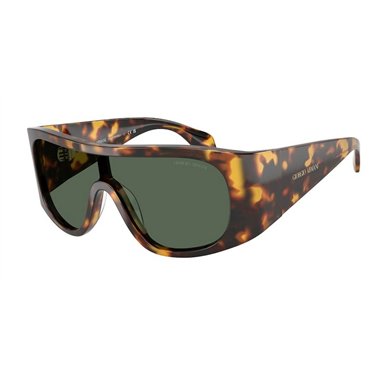 Giorgio Armani AR8222U 509271