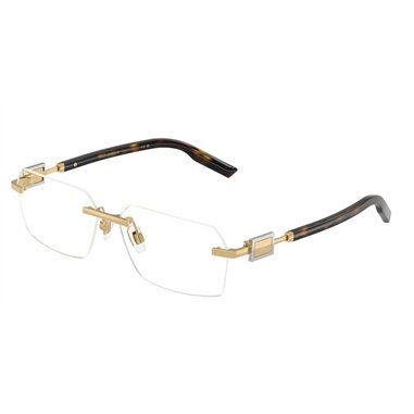 Dolce & Gabbana DG1361 02
