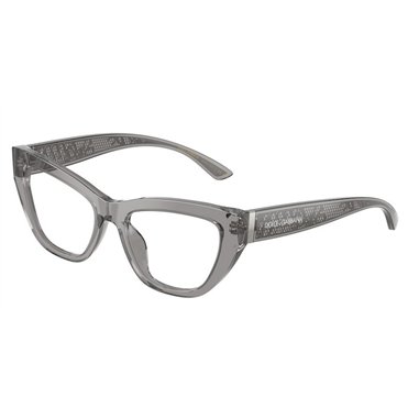 Dolce & Gabbana DG3412 3160
