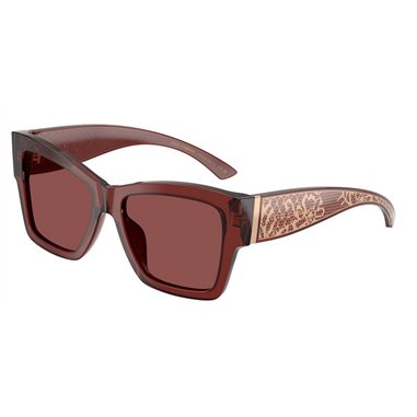 Dolce & Gabbana DG4493 304575