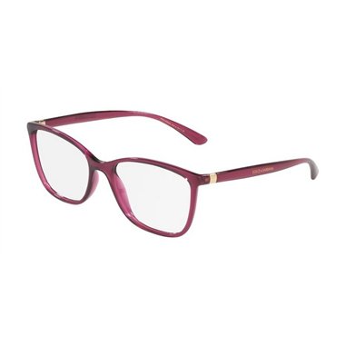 Dolce & Gabbana DG5026 1754