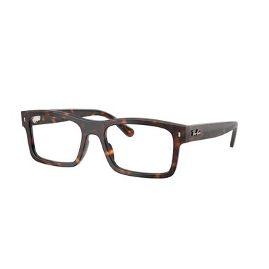 Ray-Ban RX5435 2012