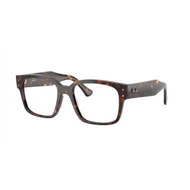 Ray-Ban LAURENE RX7256 8320
