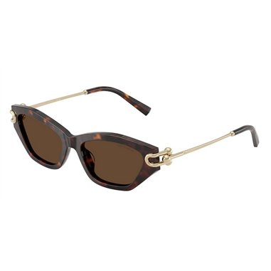 Tiffany TF4231U 80153G