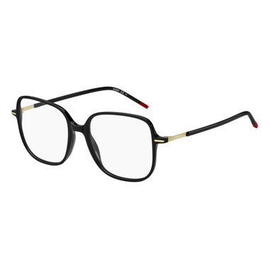 Hugo Boss HG 1239 807