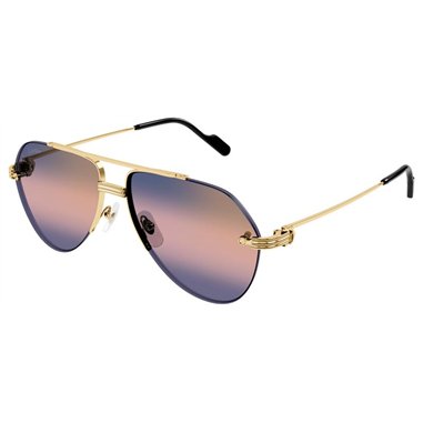 Cartier CT0427S 008