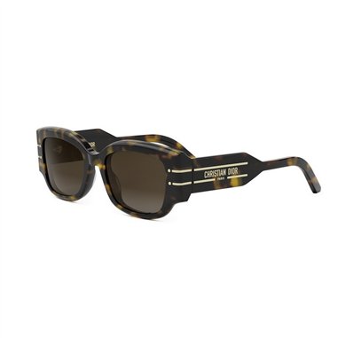 Dior DIORSIGNATURE S13I CD40188I 52F (20F1)