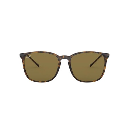 Ray-Ban RB4387 710/73 Ray-Ban RB4387 710/73