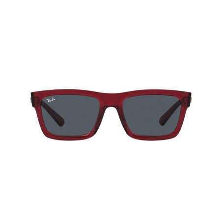 Ray-Ban WARREN RB4396 667987 Ray-Ban WARREN RB4396 667987