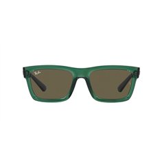 Ray-Ban WARREN RB4396 6681/3 2