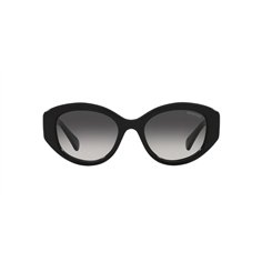 Swarovski SK6005 10018G 2