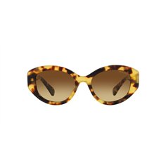 Swarovski SK6005 100913 2