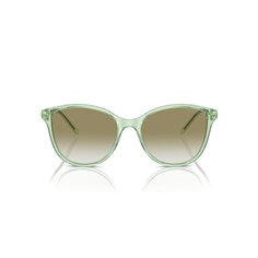 Emporio Armani EA4220 61078E 2