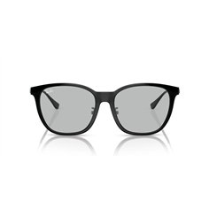 Ray-Ban RB4333D 601/87 2
