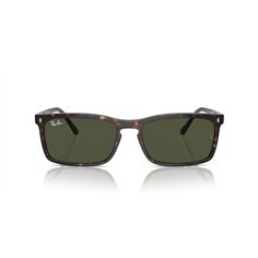 Ray-Ban RB4435 902/31 2