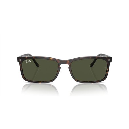 Ray-Ban RB4435 902/31