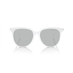 Swarovski SK6023D 103387 2