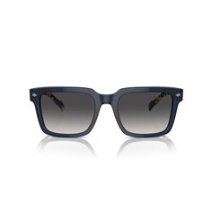 Vogue VO5573S 31438G 2