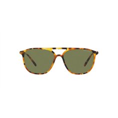 Giorgio Armani AR8179 54822A 2