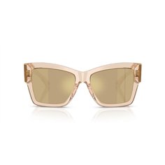 Dolce & Gabbana DG4493 343203 2