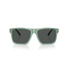 Emporio Armani EA4232 617687 2