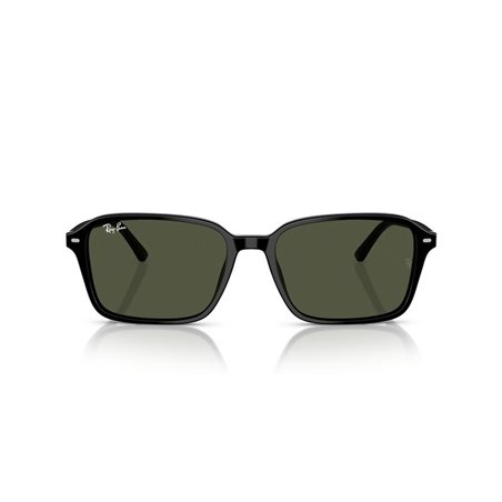 Ray-Ban RAIMOND RB2231 901/31 Ray-Ban RAIMOND RB2231 901/31